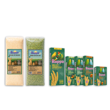 Ruppa Set Kampanyası - Şehir İçi