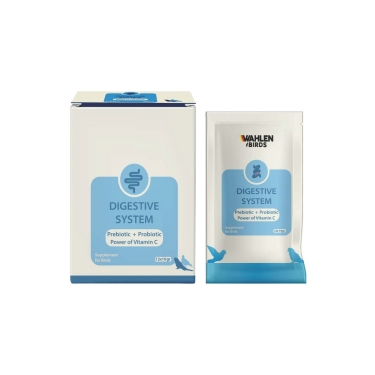 Wahlen Bırds Dıgestıve System