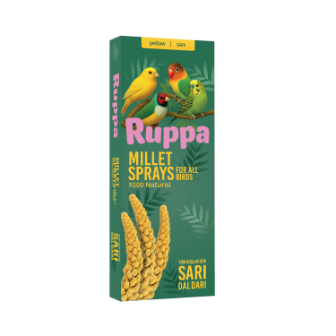 Ruppa Sarı Dal Darı