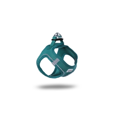 Köpek Gögüs Tasma+gezdirme L