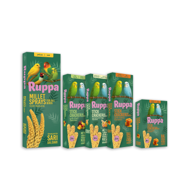 Ruppa Set Kampanyası - Şehir Dışı