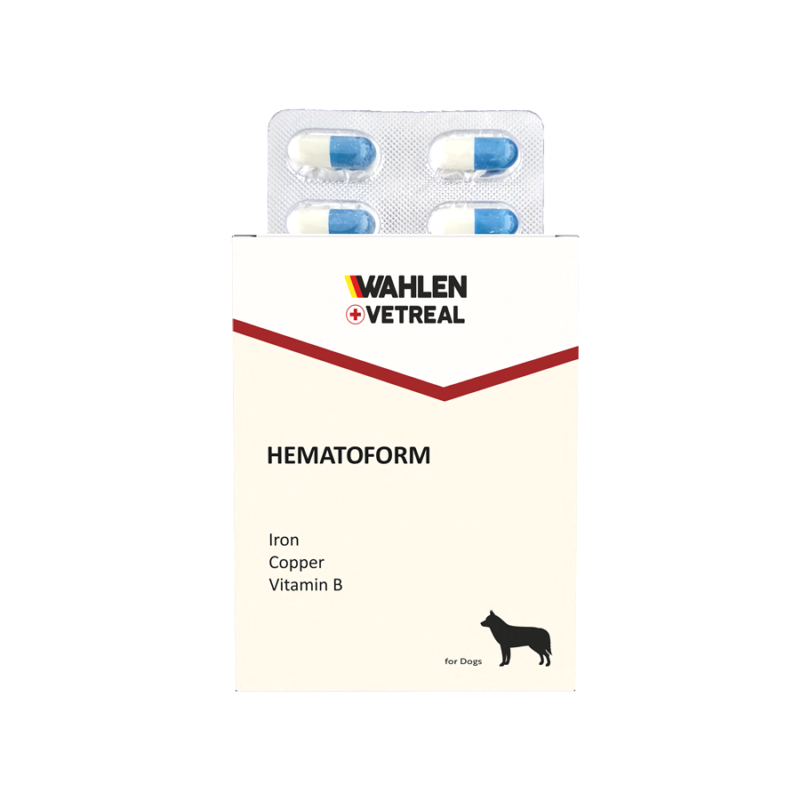 Wahlen Vetreal Hematoform 30 Kapsül - 1